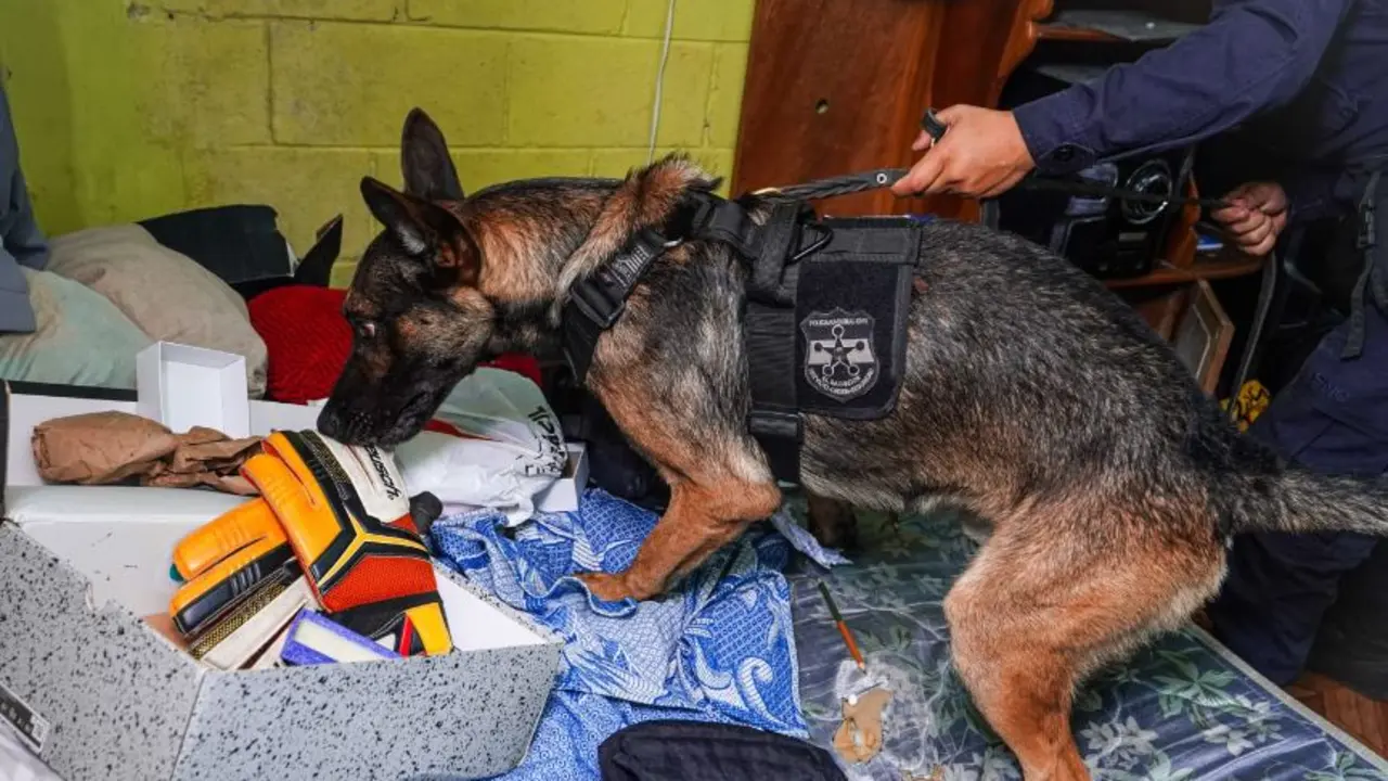 Allanamiento en La Granjita