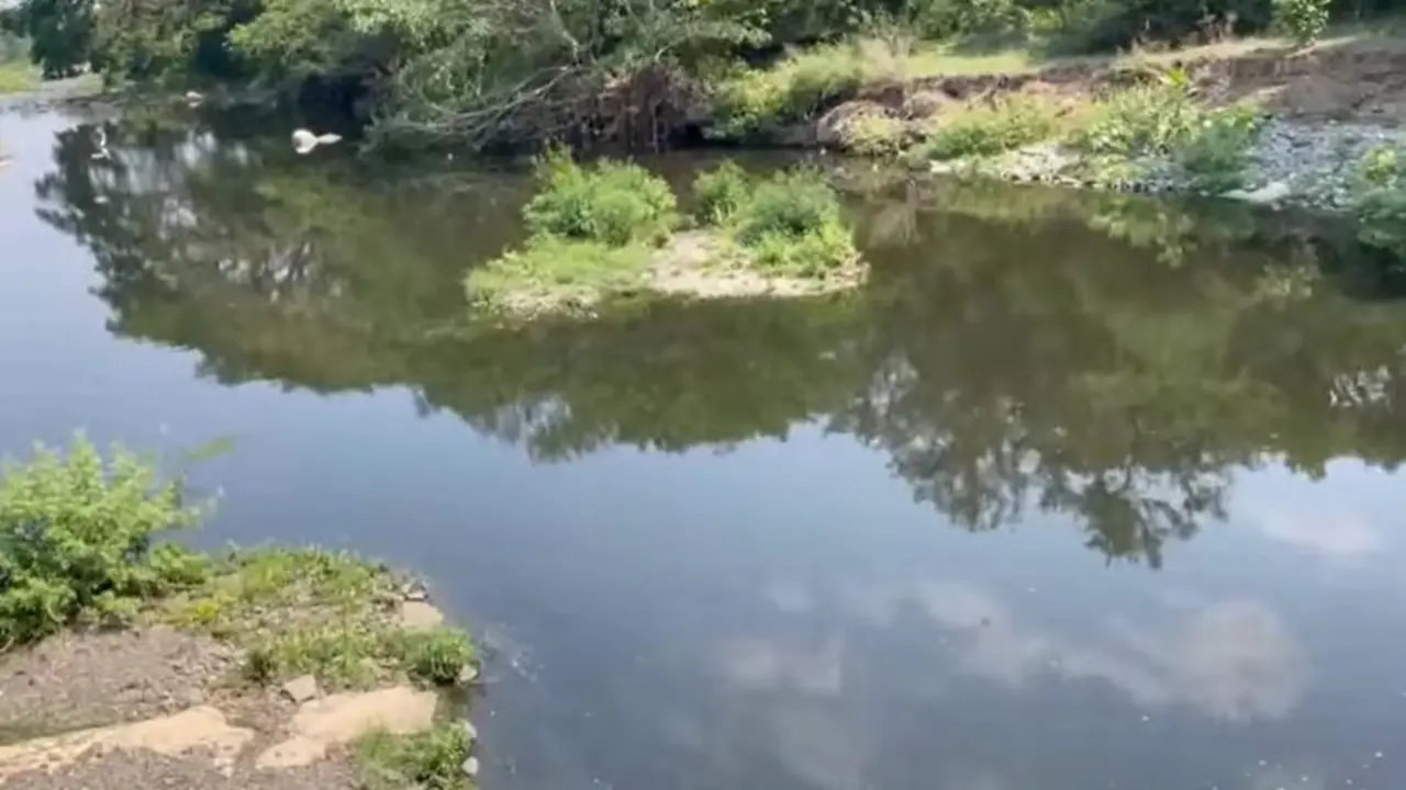 R&iacute;o San Francisco