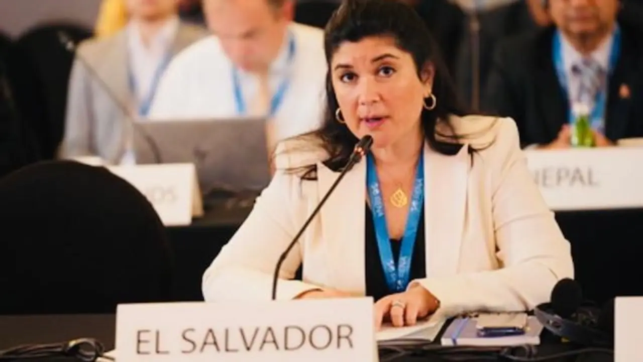 SESIÓN CONSEJO DE IRENA (5)