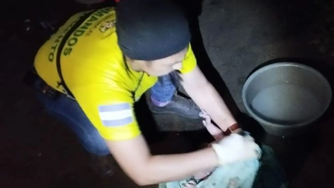 Reci&eacute;n nacido en fosa s&eacute;ptica