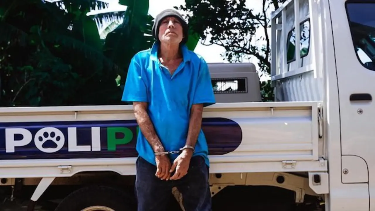 Detenido maltrato animal cachorros Zaragoza