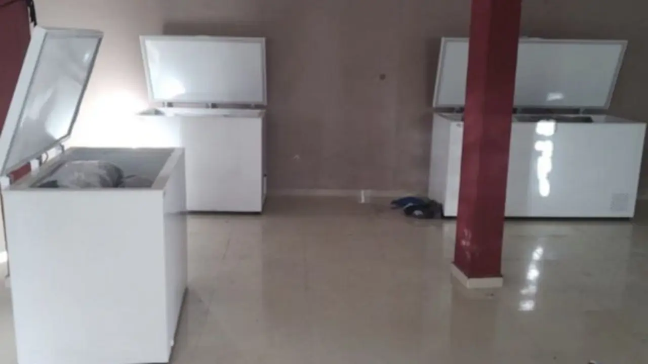 Cad&aacute;veres desmembrados Veracruz