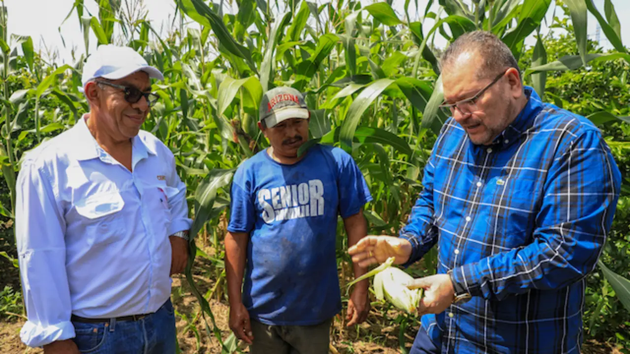 CULTIVOS EN LA LIBERTAD-MAG 1