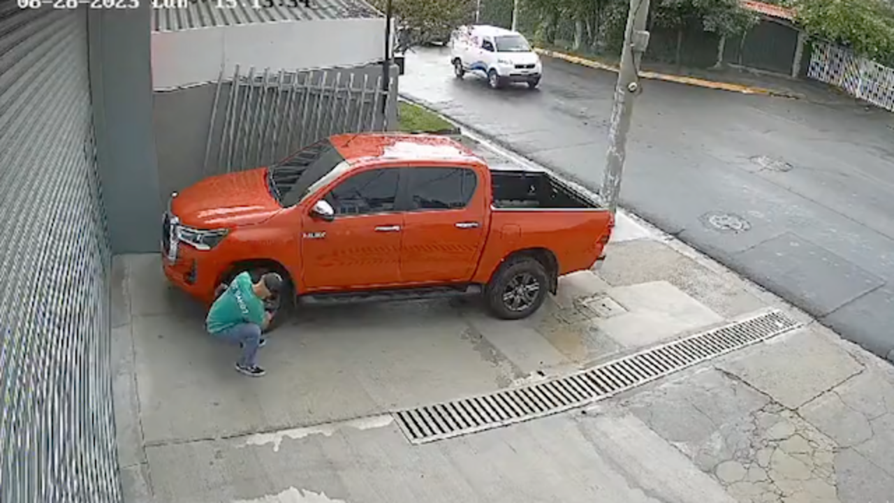 Hurtador de piezas de veh&iacute;culos