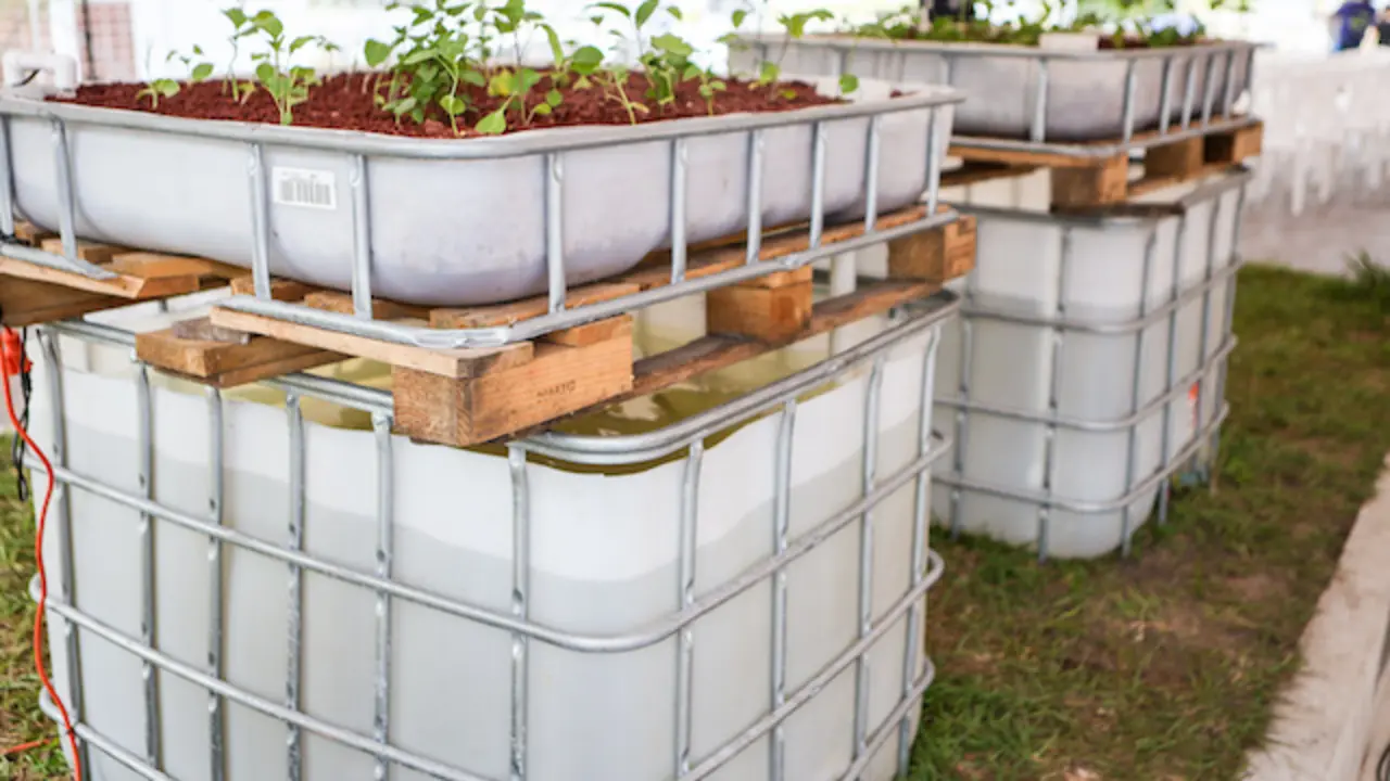 MAG CULTIVOS ACUOPONICOS