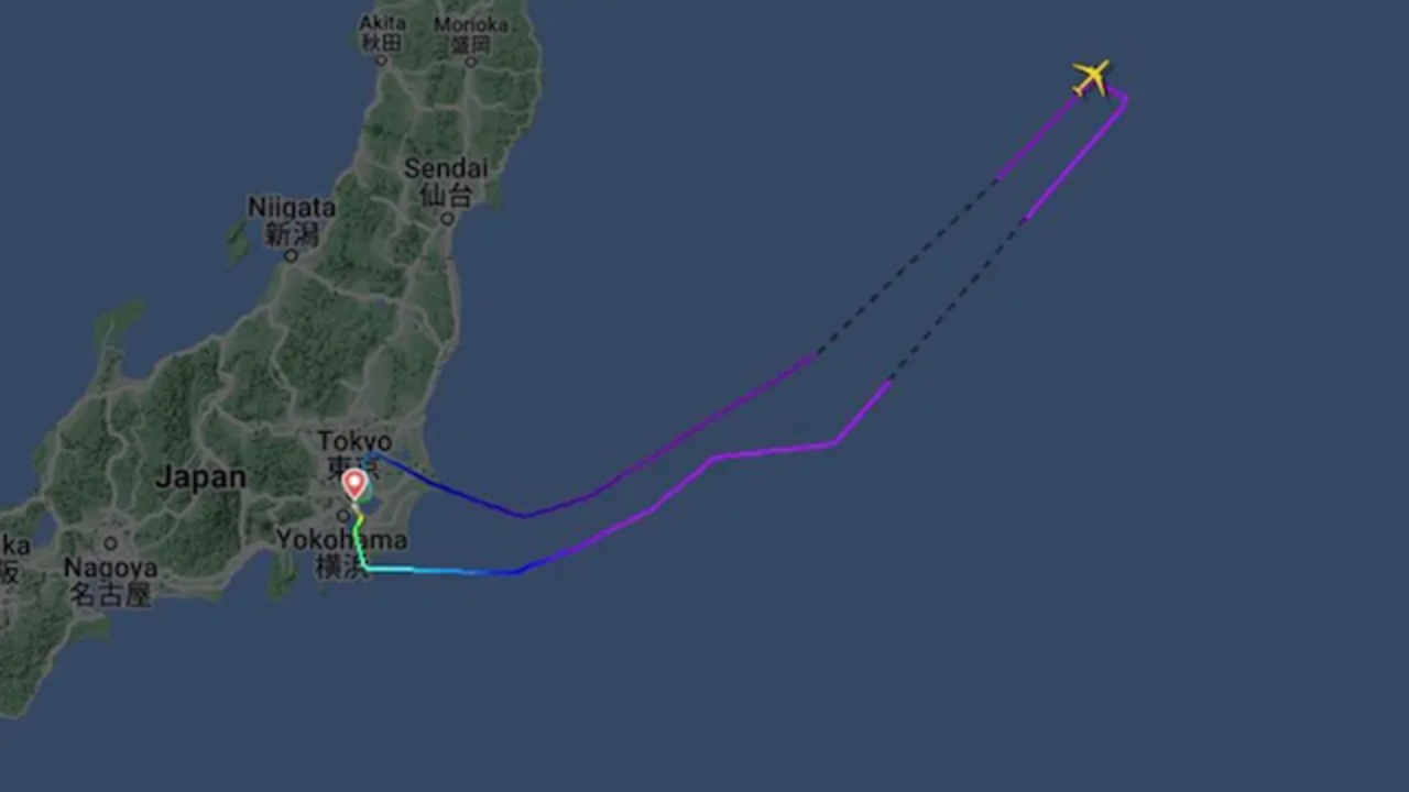 Pasajero muerde a azafata en avión Japón copia