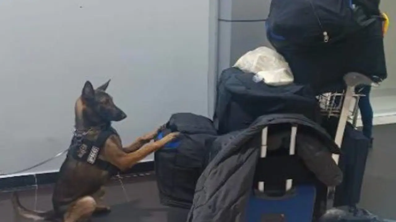 Ricardo Antonio Salmerón Gaitán