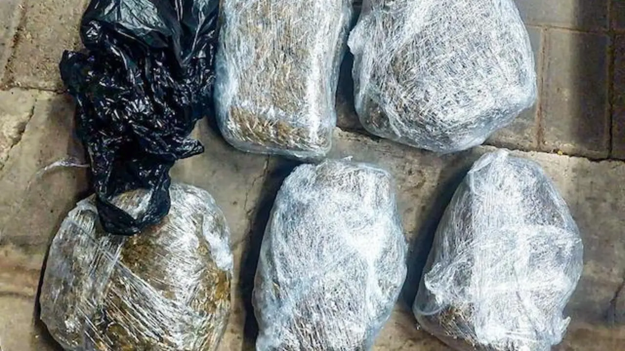 José Samuel Peña Sola, maestro de centro escolar, tráfico ilícito