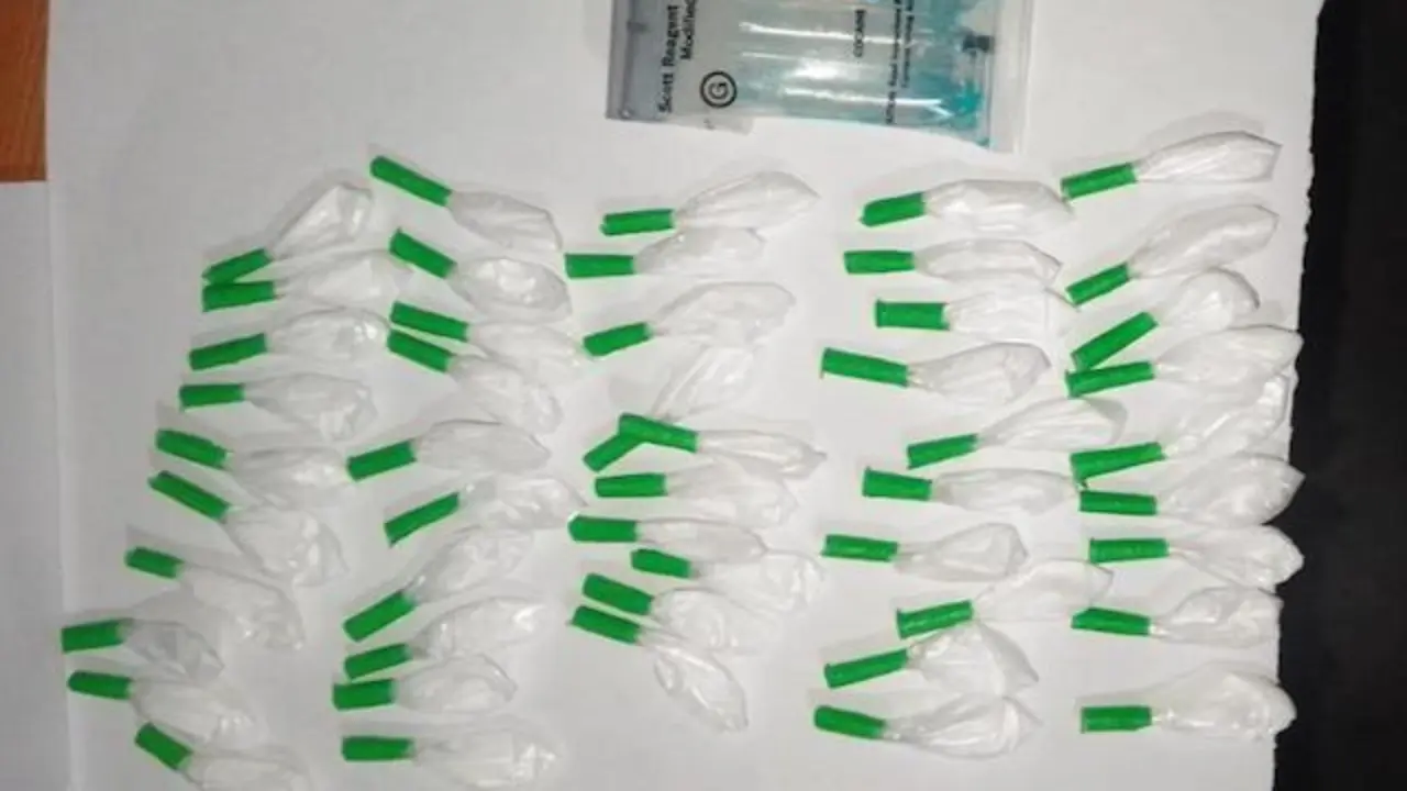 Kelvin Atilio Coreas López, tráfico ilícito de drogas, cocaína 2