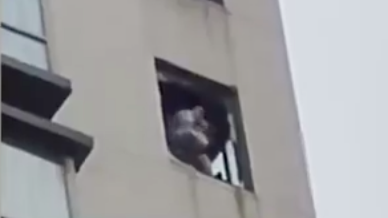 Captura de Pantalla 2024-04-02 a la(s) 12.43.48