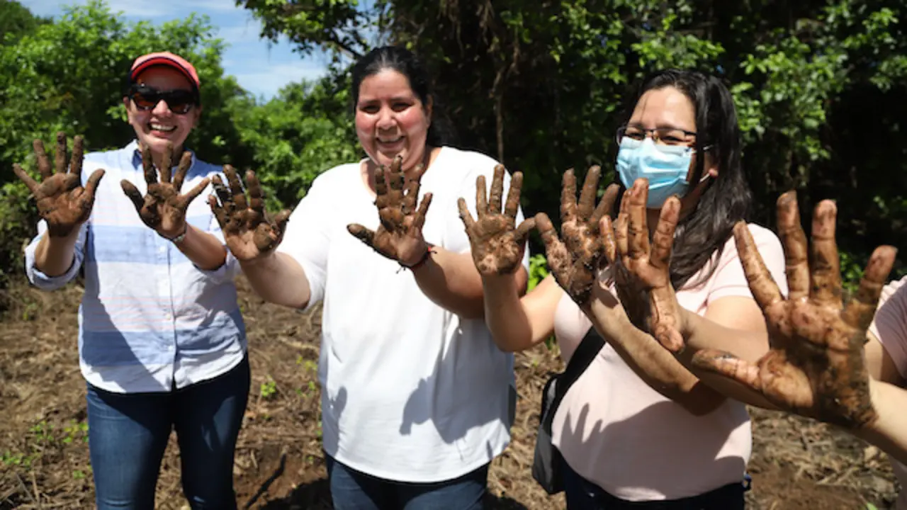 Recorrido en una parte de las &aacute;reas reforestadas con Mangle en Barra de Santago, Ahuachap&aacute;n,  el 21 de octubre de 2022, en El Salvador. El Banco Davivienda fondea a organzaciones como FUNDEMAS y AMBAS para trabajen en el rescate de los manglares destruidos por los fen&oacute;menos naturales, como huracanes y tormentas tropicales.
Foto Banco Davivienda /Salvador Melendez