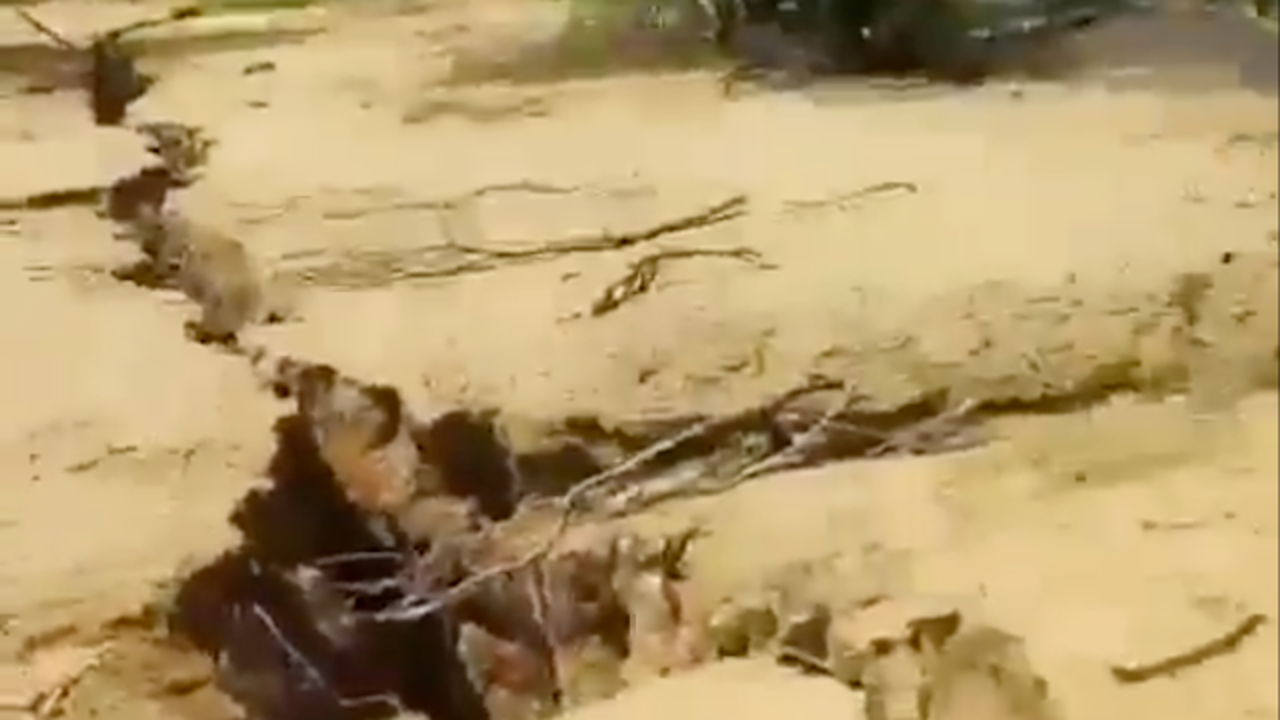 Grieta en Sonora México