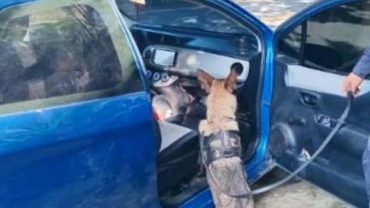 Jhonny Eliseo Medrano Ramos y Gilma Johana Zepeda Montoya, guatemaltecos, tráfico ilícito de drogas