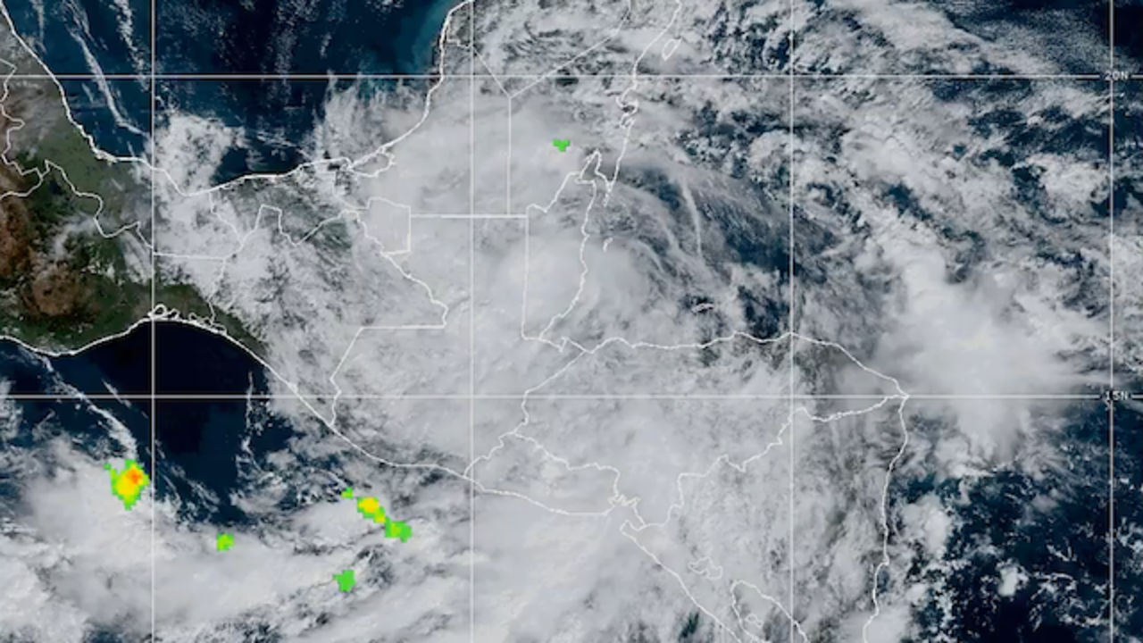 Captura de Pantalla 2024-11-17 a la(s) 14.43.50