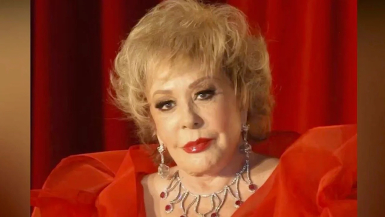 Silvia Pinal copia