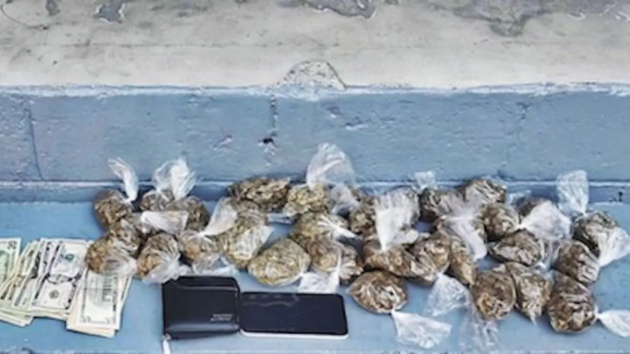 Luis Alejandro Moisa del Cid, posesión y tenencia de drogas 2