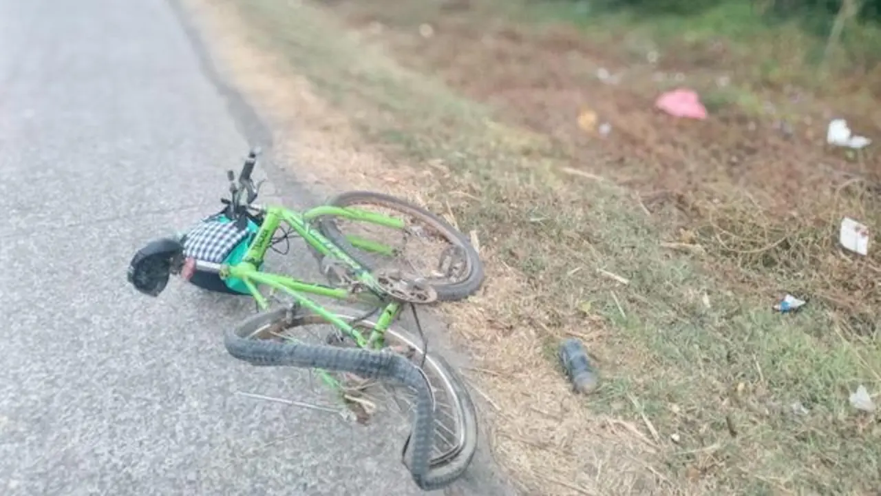 Atropellado km 74 carretera del Litoral, Tecoluca, San Vicente 27-12-2024