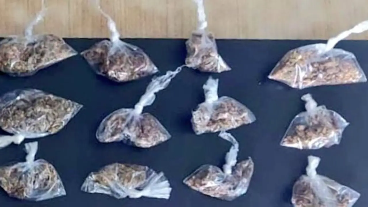 Daniel Alfredo Huezo Barrera, 19 años de edad, posesión y tenencia de droga