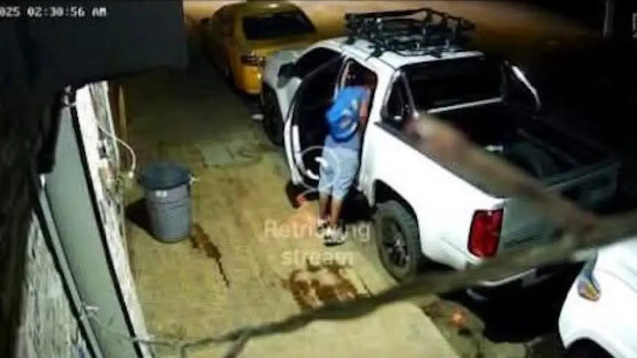 José Alexander Chávez Morales, hurto