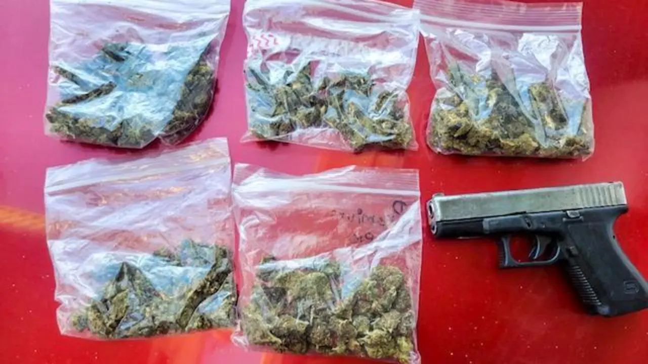 José German Grande González, posesión y tenencia de drogas y portación ilegal de arma de fuego 2