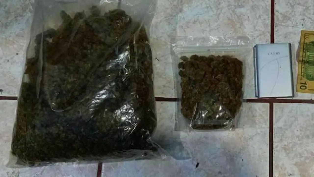 Gerardo Alexis González López y Clara Daniela Aguilar Ascencio, MS-13, agrupaciones ilícitas y tráfico ilícito de drogas