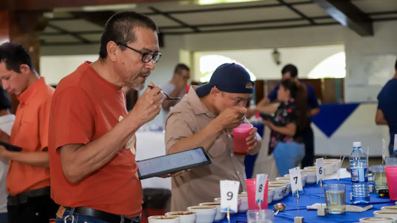 Inicia Taza de Excelencia El Salvador 2025