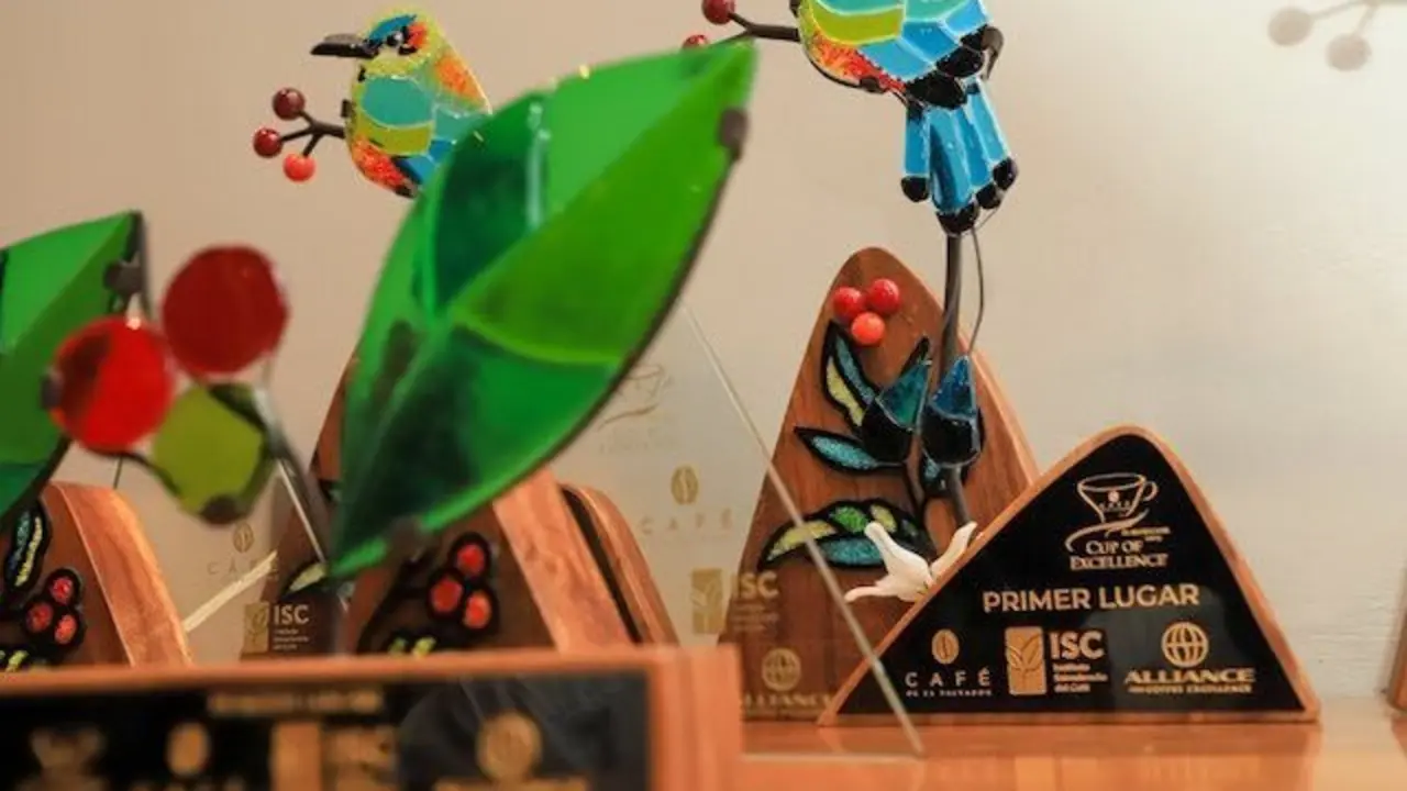 Taza de la Excelencia 2025