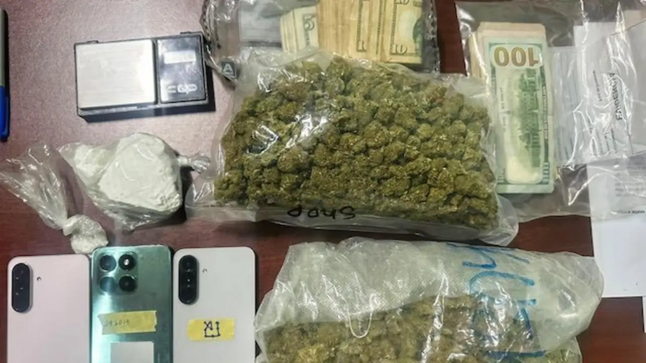 Élmer Bladimir Martínez y Olga Ayala Molina, tráfico ilícito de drogas y conducción peligrosa 2