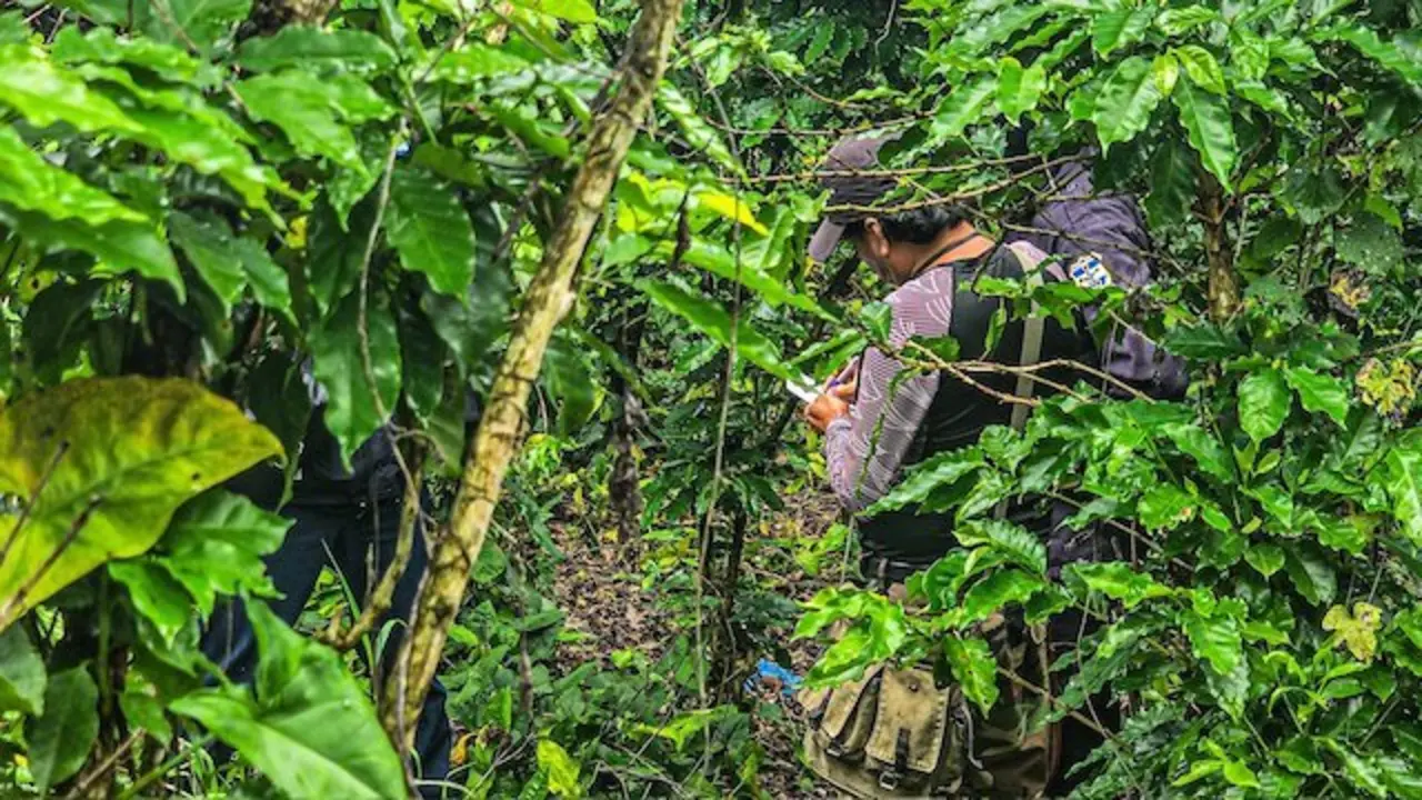 Cementerio clandestino