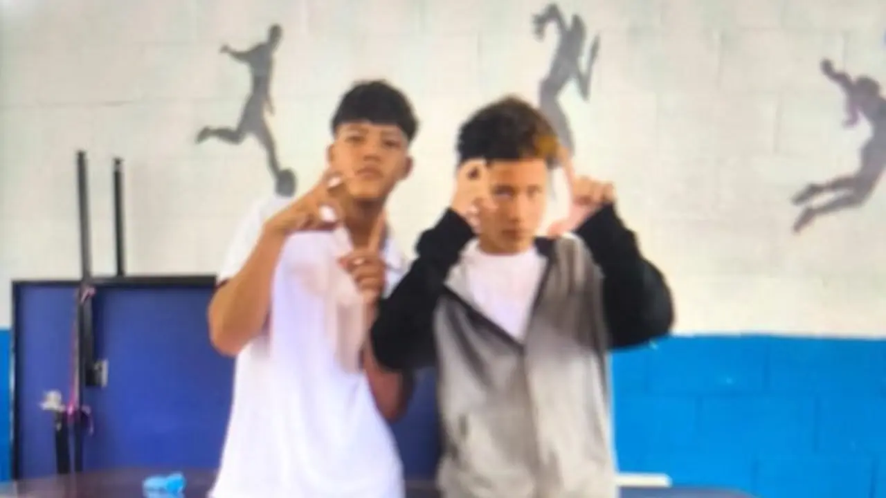 Julio F. y Xavier S., agrupaciones ilícitas