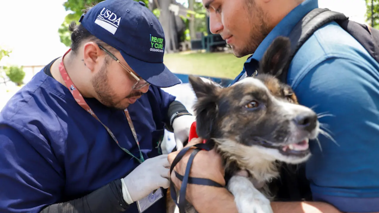 MAG fortalece la campaña de protección de mascotas contra el gusano barrenador_3