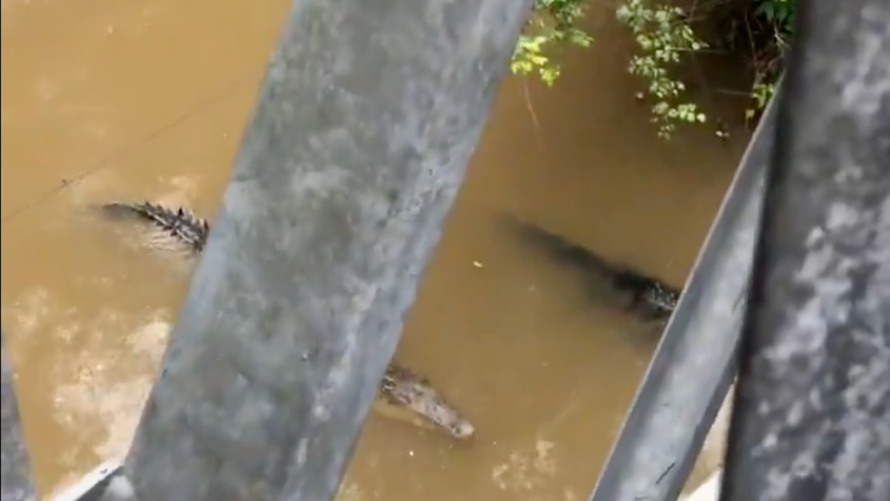 Captura de Pantalla 2025-07-02 a la(s) 17.59.48