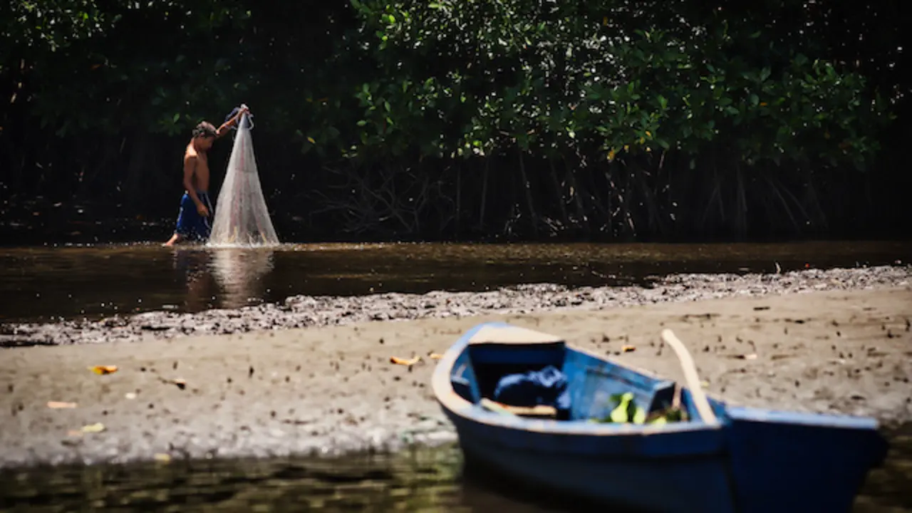 Visita al Manglar restaurado en la Barra de Santiago por parte de Davivienda Seguros, pasando por avistamiento de Cocodrilos en el Cana El Zapatero, en Ahuachapan, El Salvador, el 25 de julio de 2025.
Foto Banco Davivienda/ Salvador Melendez