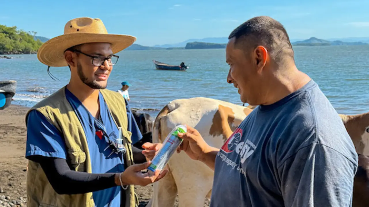 Gusano Barrenador MAG Conchagüita