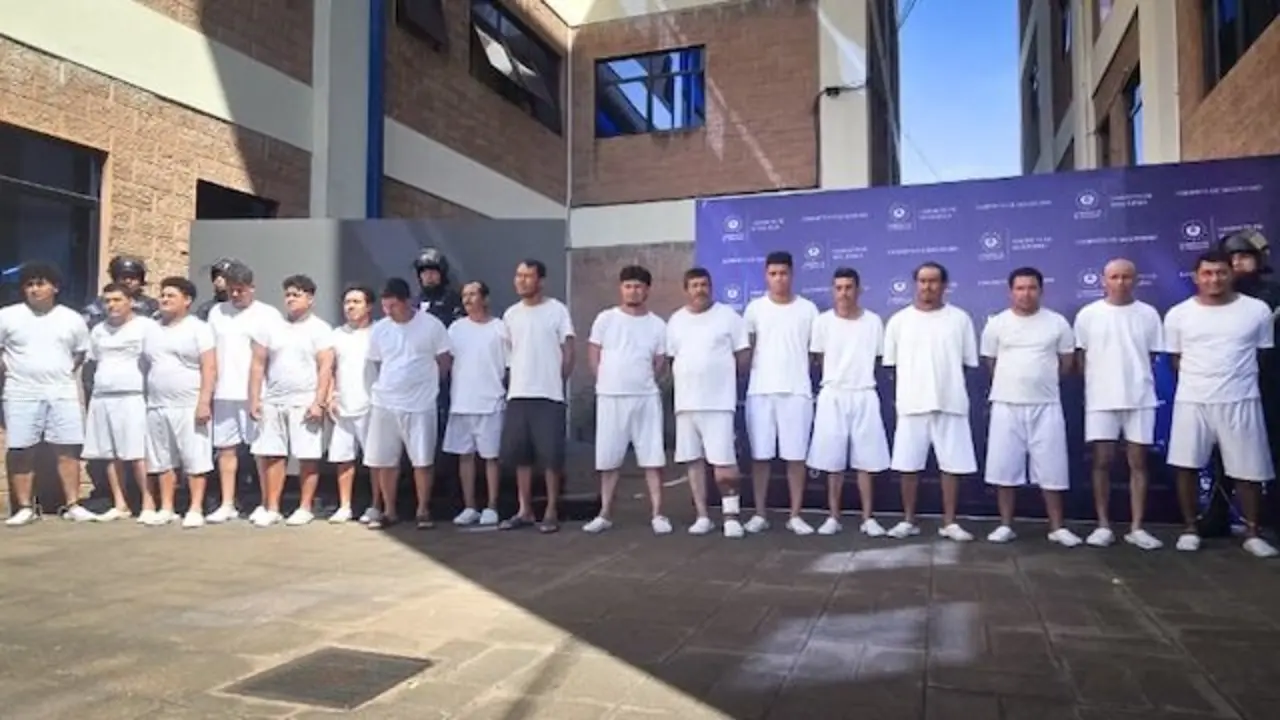 Hurto de celulares en autobuses 2