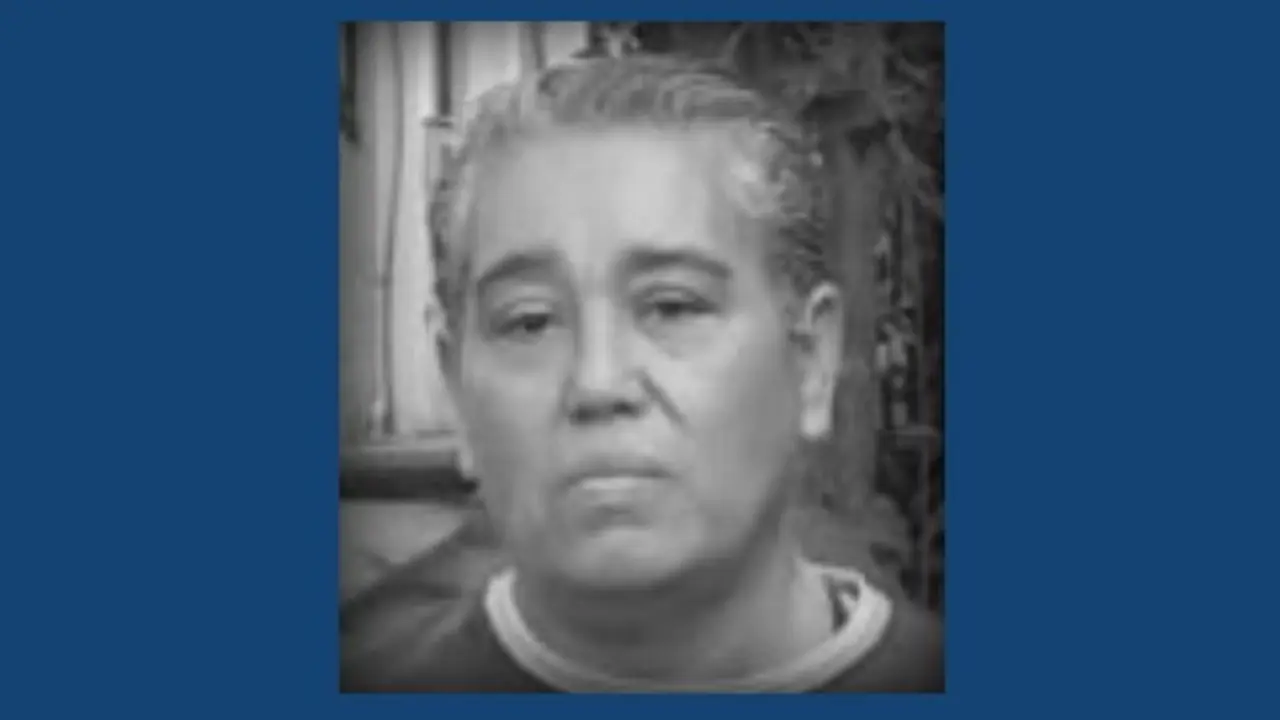 Ángel María Benavides, hurto por medios informáticos