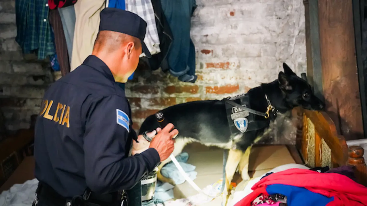 Operativo antidrogas