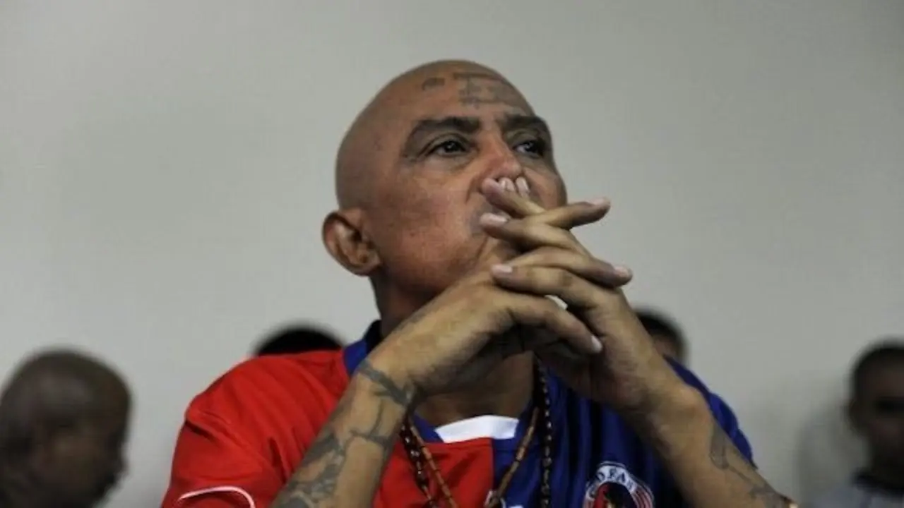 Viejo Lin