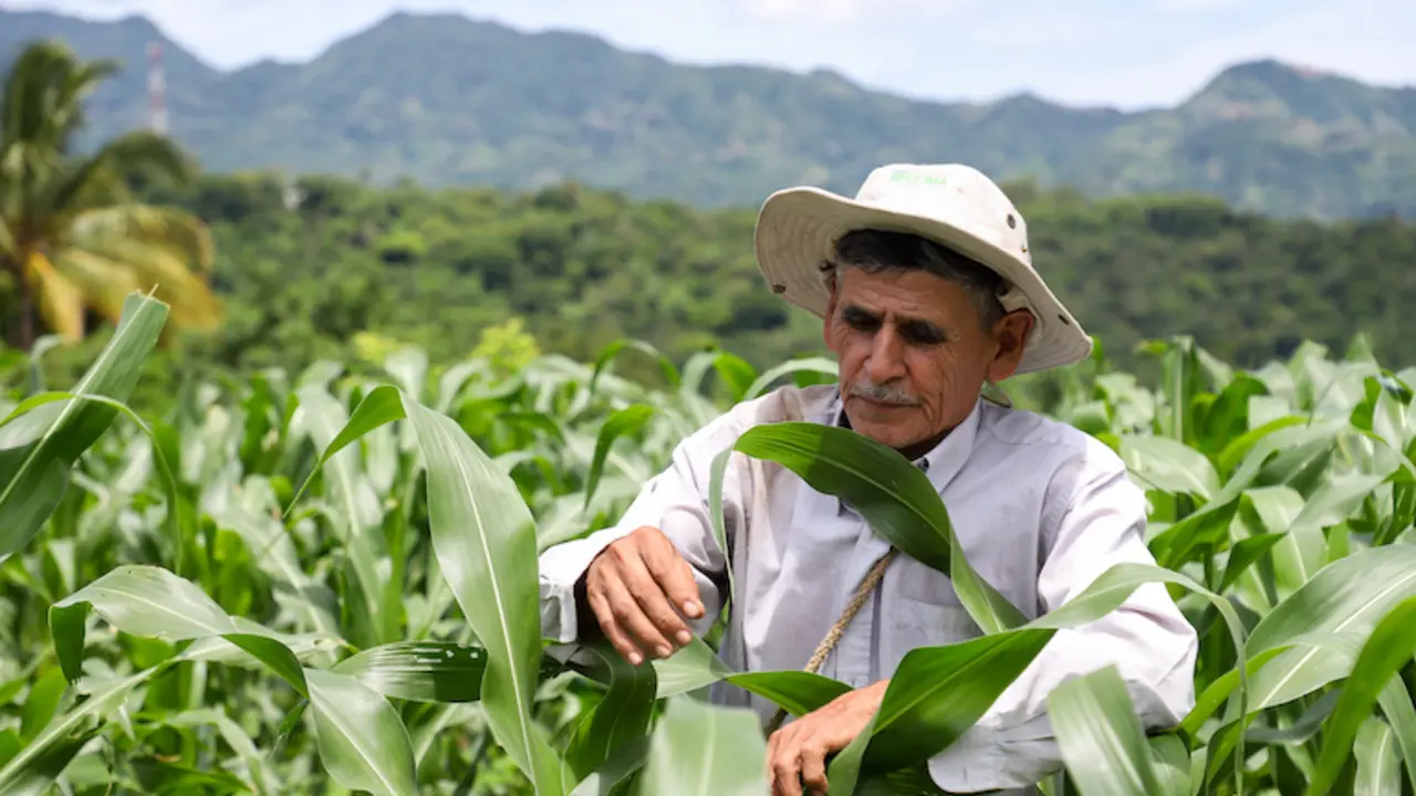 Agricultura 1
