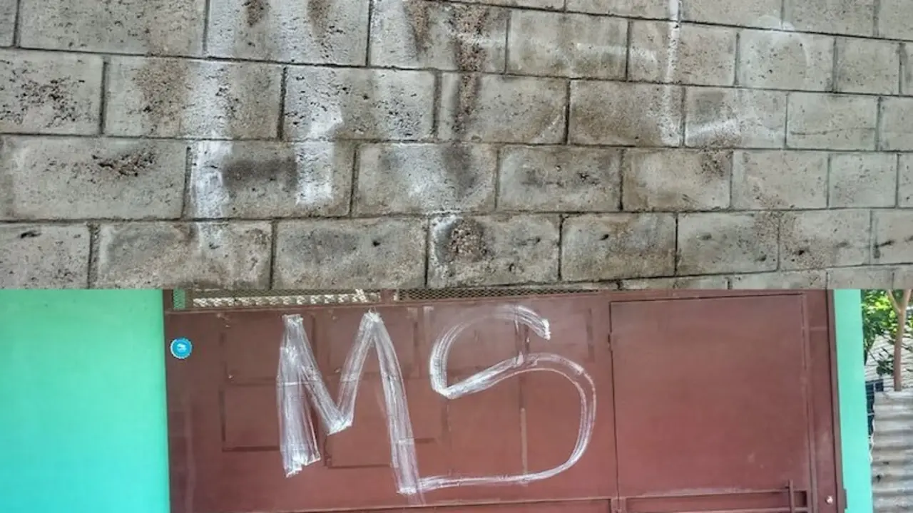 José Daniel García Aguilar, Luis Gabriel Salguero y Axel Exequiel Acosta García, agrupaciones ilícitas