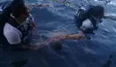 Ahogado en isla