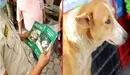 Más de $1,400 por maltratar a perro