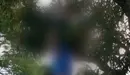 Se ahorca en una rama de árbol