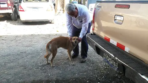 Es de los más consentidos porque no es agresivo. Canelo se deja tocar por todos/ El Salvador Times