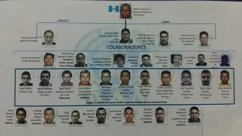 Estructura organizativa de la red de la cual Pamela Posada pertenece.