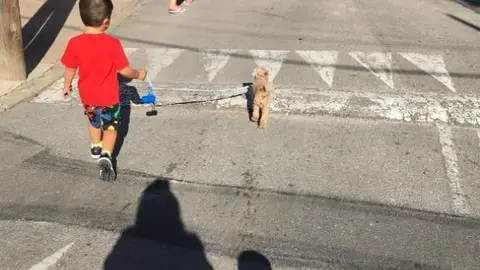 Los Messi en un paseo con sus mascotas.
