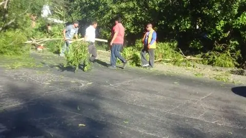 Árbol caído en Carretera El Litoral, a la altura de San Diego. Comisión Municipal de Protección Civil La Libertad trabaja en la remoción.