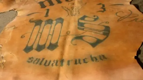 En total son seis piezas las que conforman la muestra. Según el autor, sus obras están más cerca de la taxidermia o de las colecciones de cacería privada.