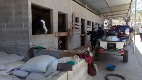 Asimismo, se encontraron vehículos y ganado.