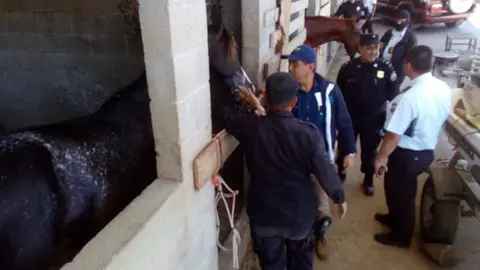 Viceministro de Justicia verifica operativo de extinción de dominio realizado por de diferentes unidades de la PNC esta mañana.